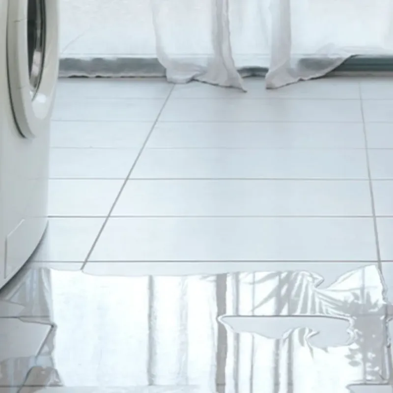 Appliance Leak Cleanup in Oblong, IL