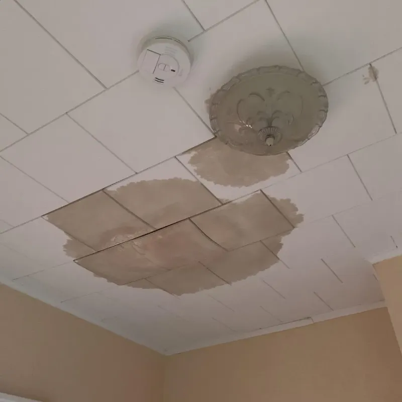 Ceiling Water Damage Repair in Oblong, IL
