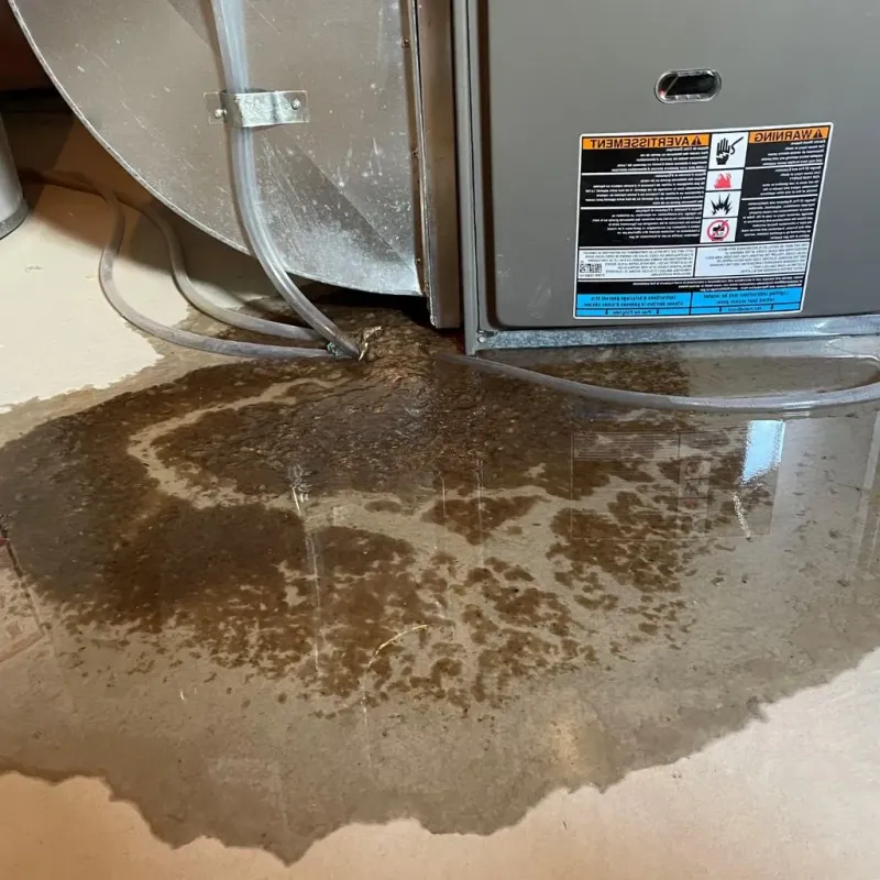 Pipe Burst and Leak Restoration in Oblong, IL