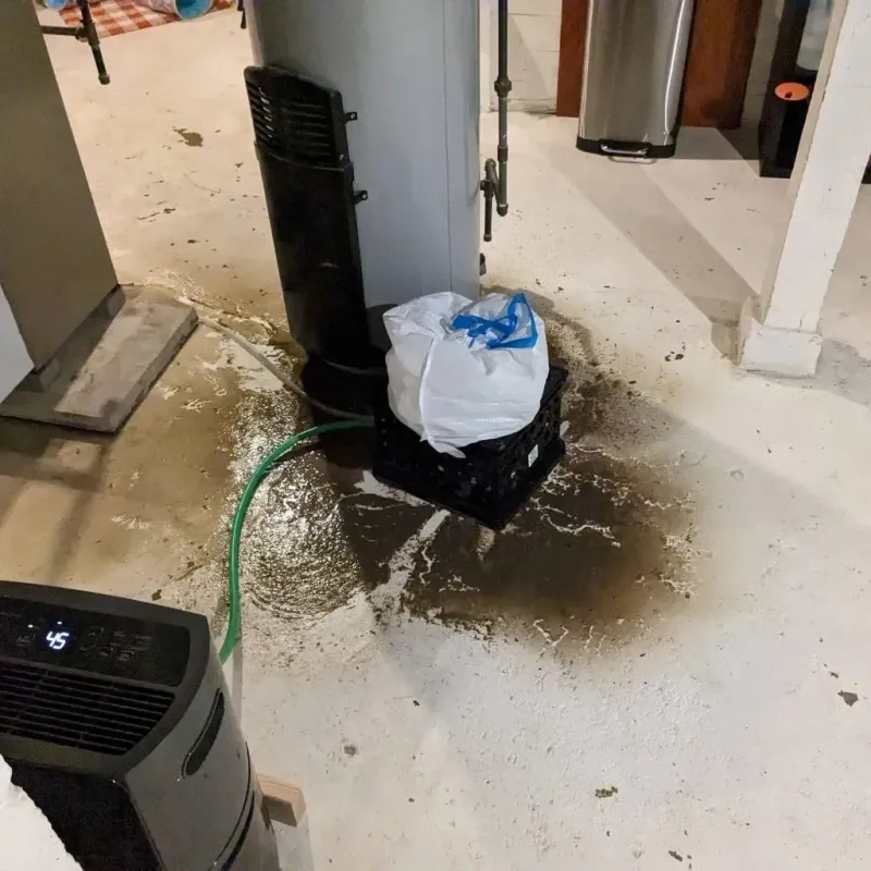 Sewage Backup Cleanup Service in Oblong, IL
